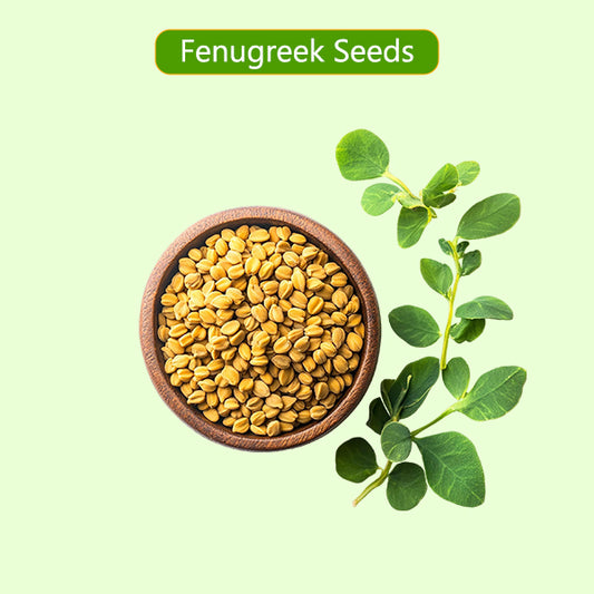 Fenugreek / வெந்தயம்