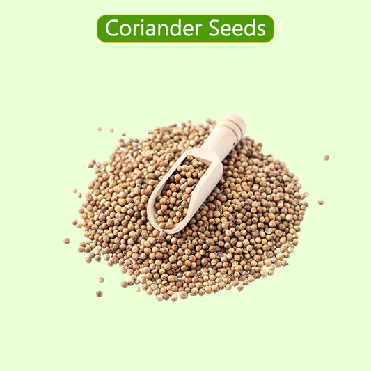 Coriander Seeds / கொத்தமல்லி விதை